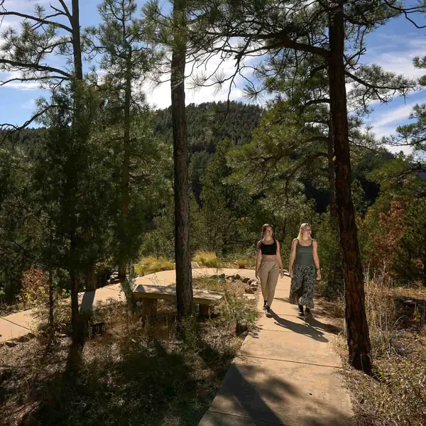 Two students walking a trail through a pine forest